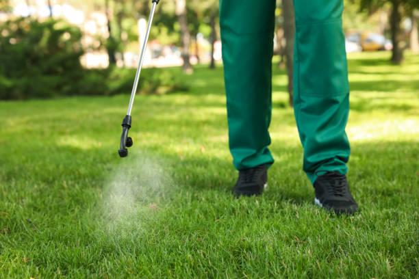 Best Flea Control Services  in Saybrook Manor, CT