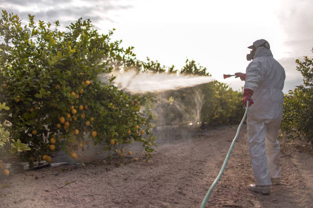 Best Insect Control  in Saybrook Manor, CT