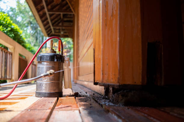Best Wasp Removal Services  in Saybrook Manor, CT