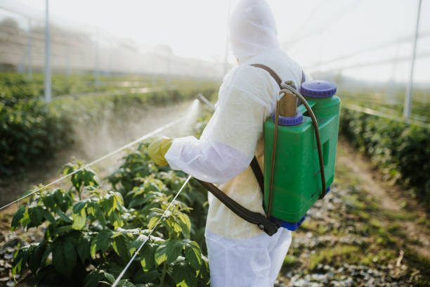 Best Pest Prevention Services  in Saybrook Manor, CT